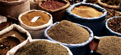 Indian Pulses